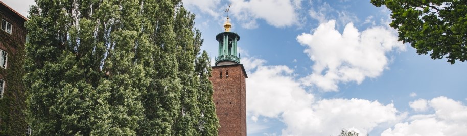 Image at https://www.stockholmparkering.se/siteassets/generella-bilderfoton/stadshuset-hero-hallbarhet-920x240.jpg