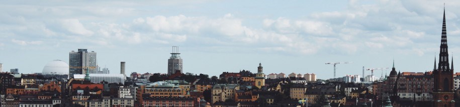 Utsikt över Stockholms takåsar